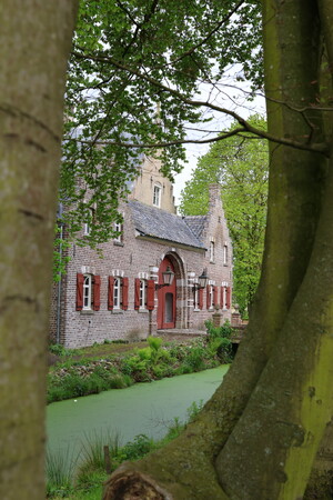 Mill, Sint Hubert en Langenboom